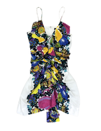 2011 Roberto Cavalli Mini Dress