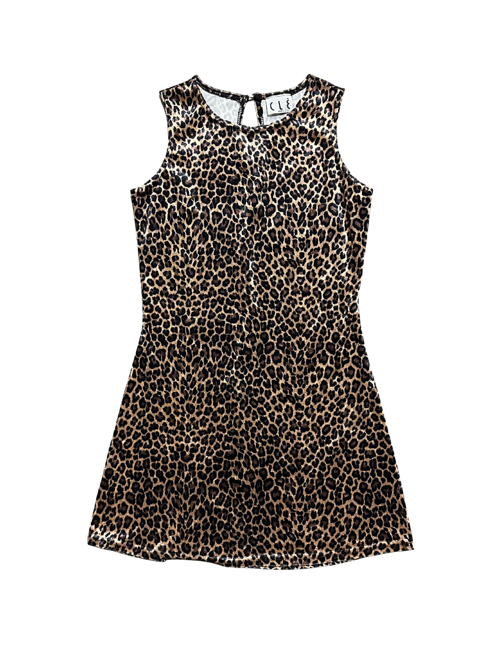 Vintage Velvet Leopard Mini Dress